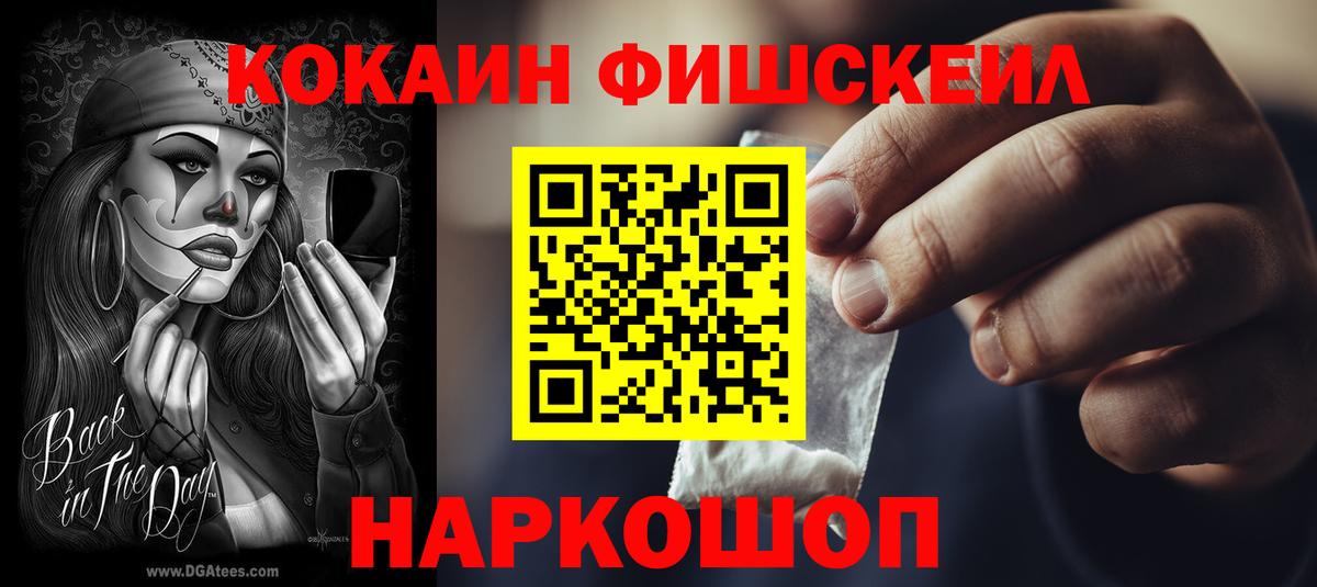 COCAIN FishScale  Вход с VPN  Новодвинск  КОКАИН FishScale 