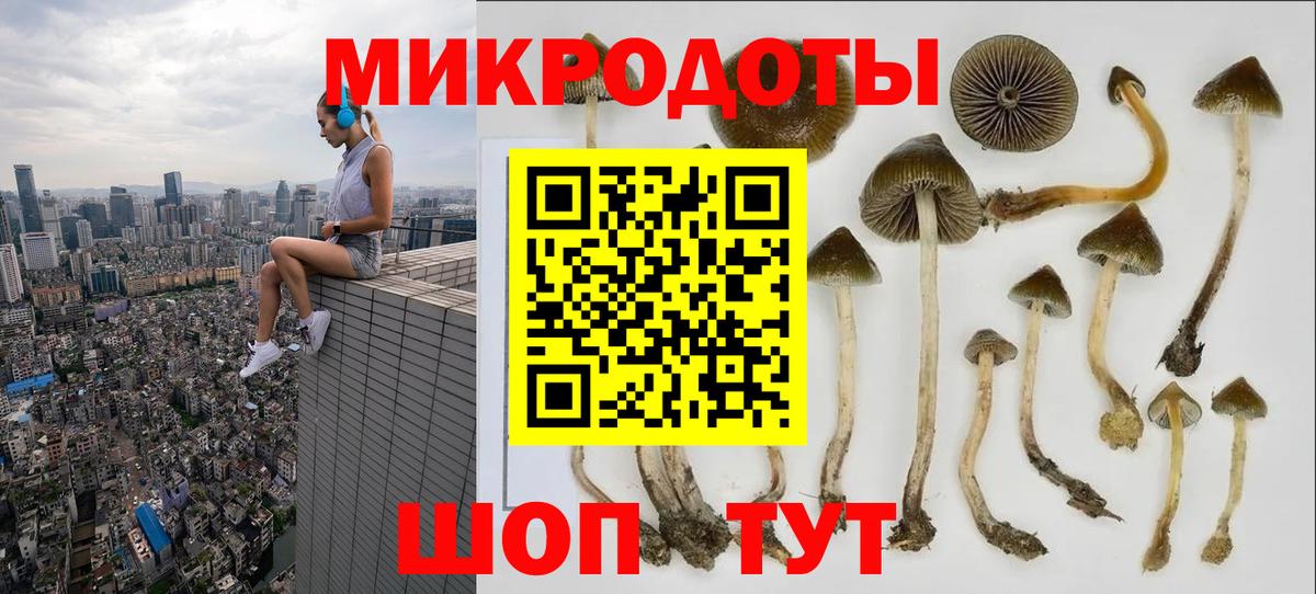 Новодвинск  Псилоцибиновые грибы ЛСД  Вход с VPN 